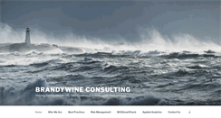 Desktop Screenshot of brandywineconsulting.com
